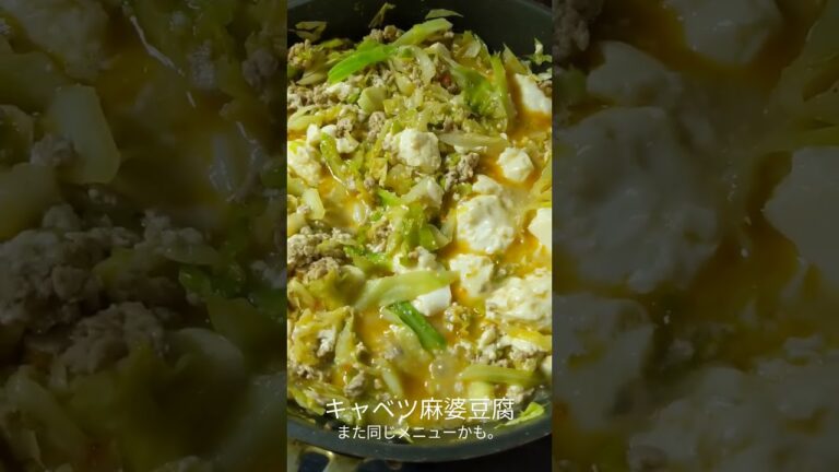 【適当ご飯】キャベツ麻婆豆腐