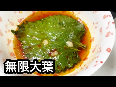 【無限大葉】大葉のピリ辛めんつゆ漬け 【作り置き常備菜】