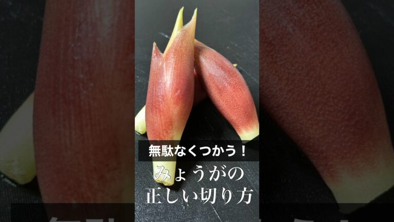 無駄なく使う！【みょうがの正しい切り方】#shorts