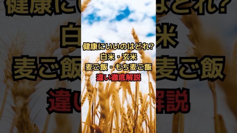 健康にいいのはどれ？ 白米・玄米・麦ご飯・もち麦ご飯の違いを徹底解説 #雑学 #健康豆知識 #栄養学 #shorts