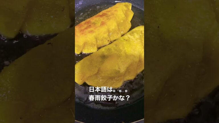 【Ngon Vãi】ベトナムで美味しい春雨餃子？を作った。名前はBánh gối