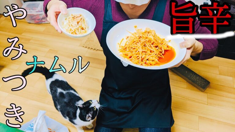 【ダイエット飯】もやしを食らいつくせ！キムチもやし炒め&もやしツナムル！