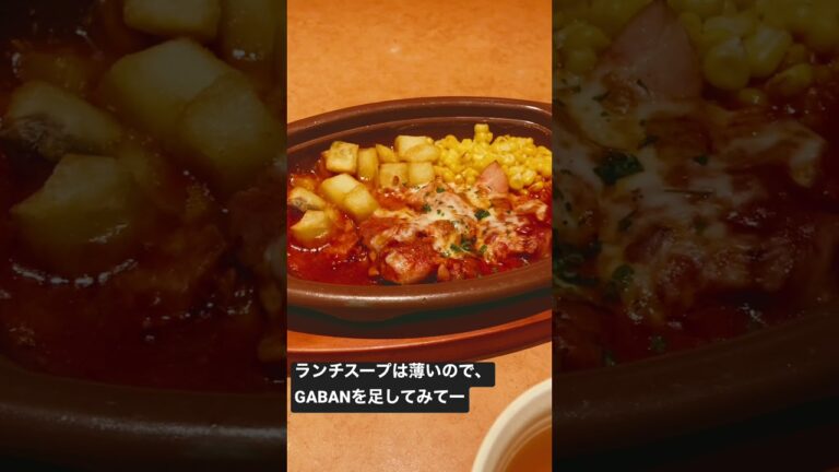 【サイゼリヤ】500円ランチ【鶏肉のトマト煮】