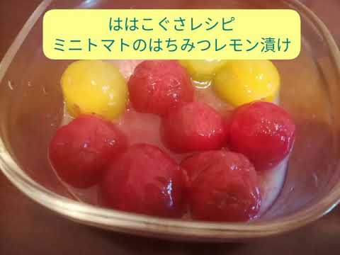ははこぐさレシピ　ミニトマトのはちみつレモン漬け♡