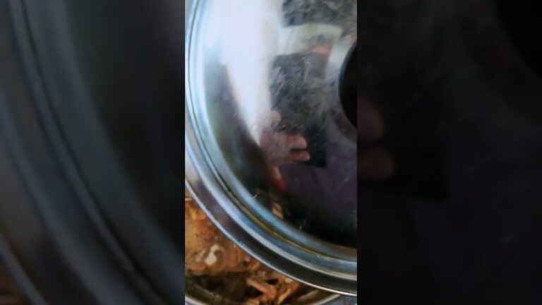 幻の魚 アコウの煮付け🐟🐟🐟