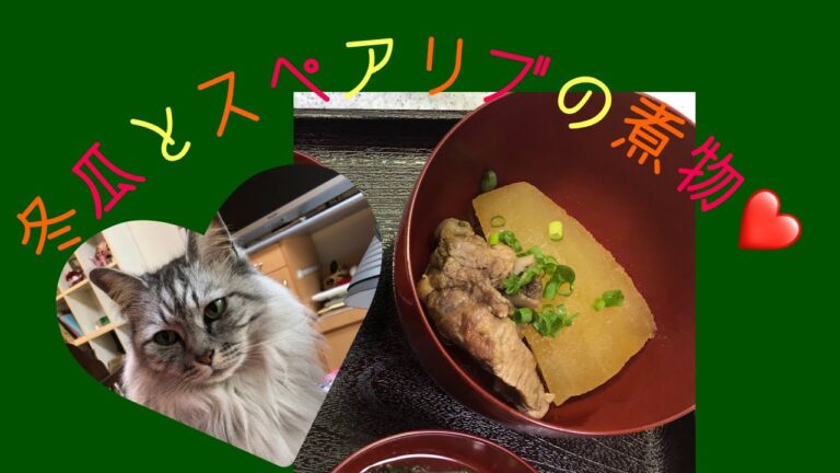 今日のご飯「冬瓜とスペアリブの煮物」