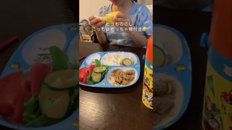 【生姜焼き】ズボラ主婦の晩御飯🤗#作り置き　#パパ作