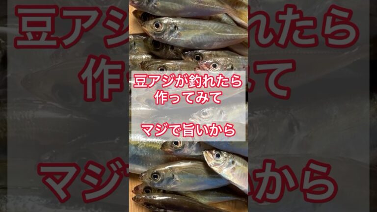 豆アジが釣れたら作ってみて。マジで旨いから