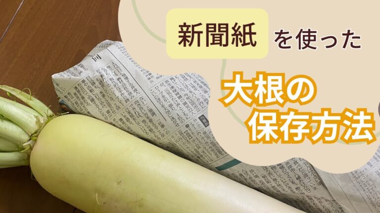 新聞紙を使った大根の保存方法