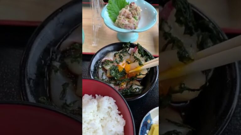 【飯テロ】美味しい鯛丼とビールで優勝する映像@沼津  駿陽荘やま弥
