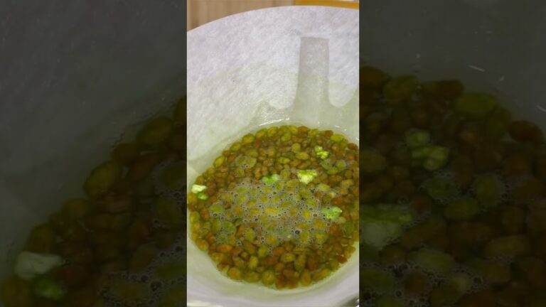 涼感。冷やし抹茶黒豆玄米茶（ルピシア）