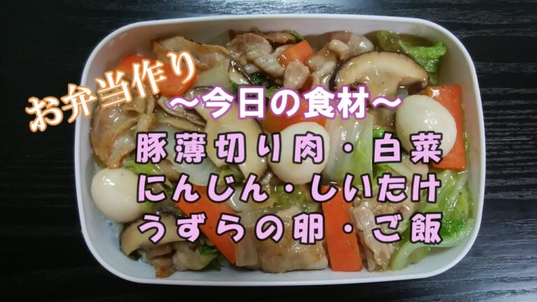 🌸🍑【お弁当作り*94】中華丼弁当🐖🥕🥚(豚薄切り肉・白菜・にんじん他)《obento》簡単一品弁当☆