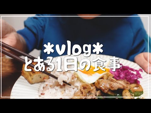 vlog|とある日の食事記録|ウインナー丼|オートミールガパオチャーハン|大根の漬物|豚肉とれんこんの青椒肉絲風炒め献立