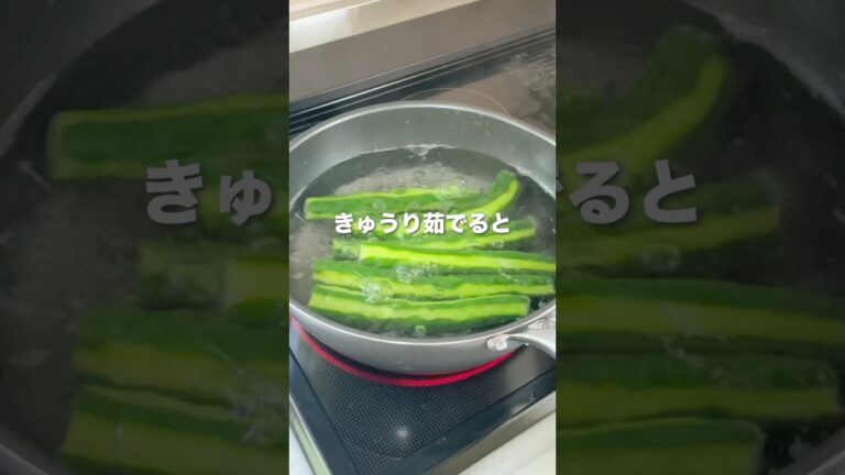 【きゅうり茹でると…プロの味？！】きゅうりの一本漬け #きゅうり大量消費 #ヘルシーレシピ