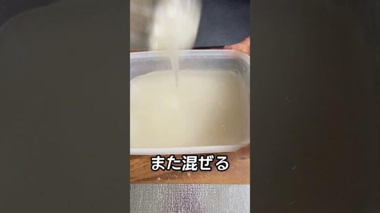 【ほぼ水】サイリウムわらび餅