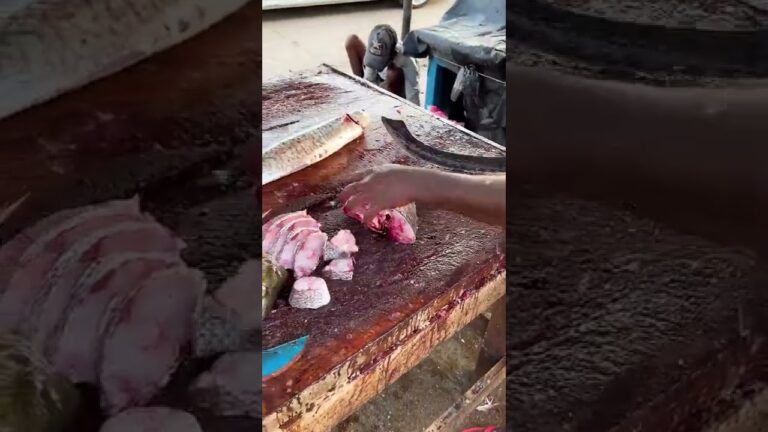 Emperor Fish Chunk Slicing and breaking down into cubes