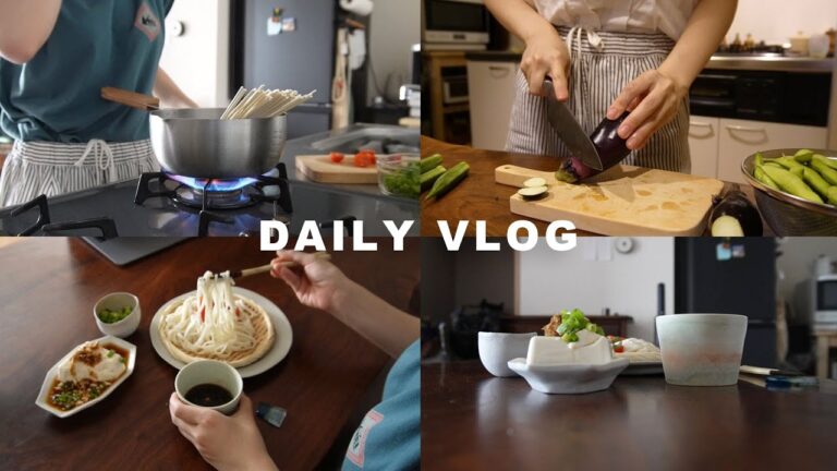 【vlog】木曜日🌻｜自家製めんつゆで楽しむ夏のご飯 🍅 (揚げ浸し、冷奴、冷やしうどん、ふりかけ)、少し早く起きれた日、夜の勉強と手作り蜂蜜レモンソーダ🍋