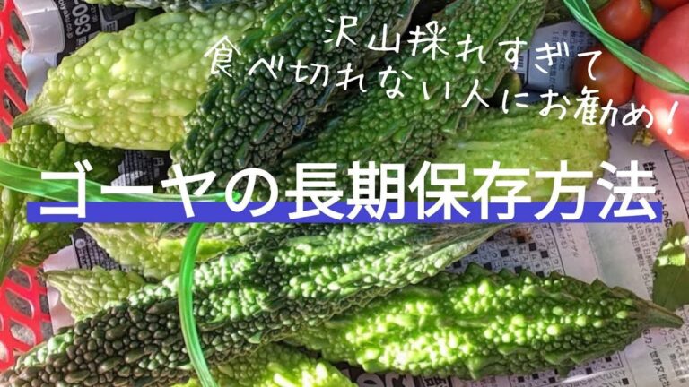 ゴーヤ＃６【食べきれないほど採れ過ぎた人必見！！】ゴーヤの長期保存方法