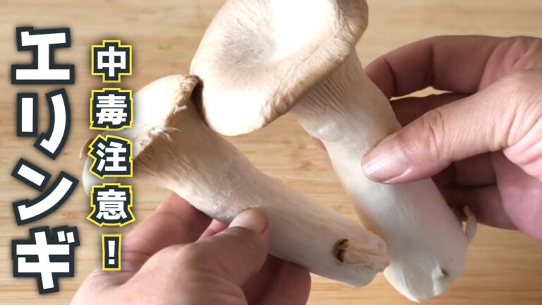 エリンギレシピ　簡単！材料1つだけ！コリコリ食感がたまらない