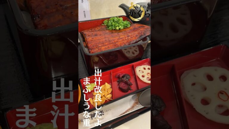 【たまり醤油がたまらない…】お出汁改良して美味しくなったまぶしうな重 #ひつまぶし #加古川グルメ #鰻重 #デカ盛り #japanesefood