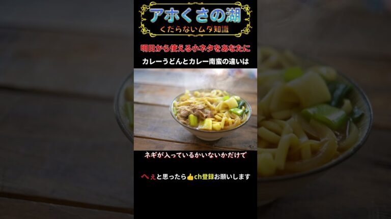 カレーうどんとカレー南蛮の違いは 【#豆知識 #雑学】