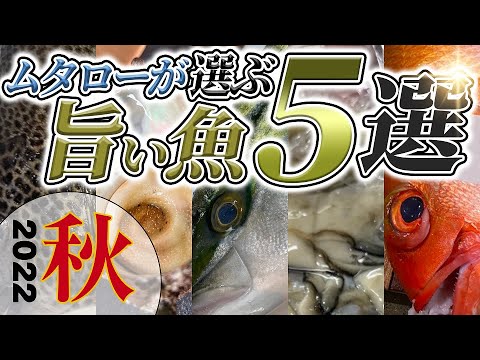 【 良い魚 ランキング 】秋 に旨い魚5選 【 旨い魚 5選・ せり人ムタロー 】