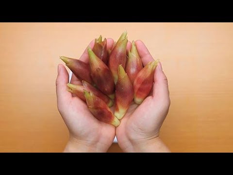 鮮やかなピンク色！さわやかミョウガエール