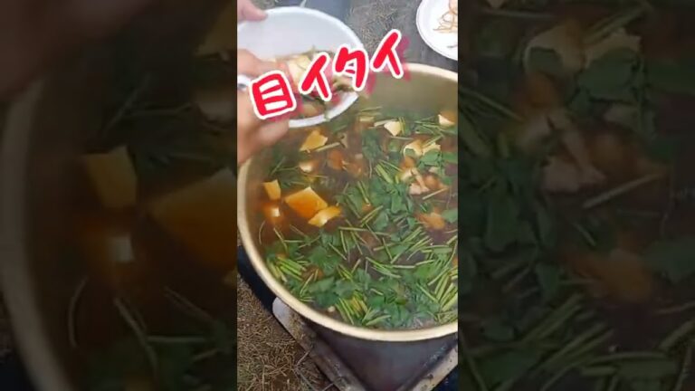 #秋田県 横手市民が全員納得するリアル芋の子汁『なべっこ』#秋の味覚 #郷土料理