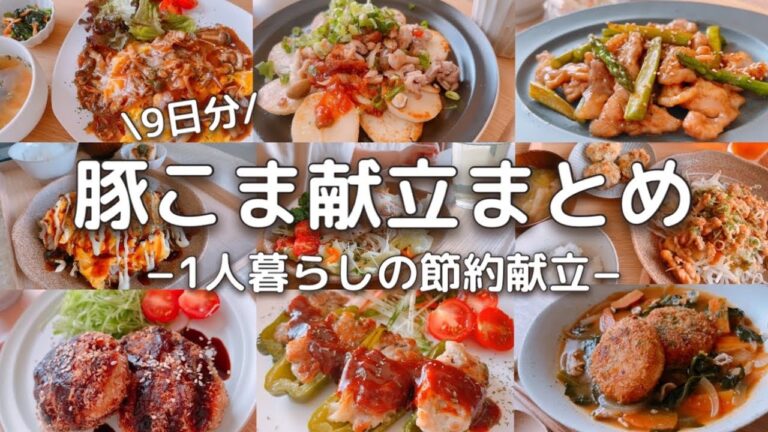 【豚こま献立9日分】1人暮らしの節約ご飯【総集編】