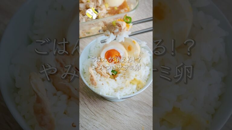 【レンジで簡単◎お米が消える】やみつき！！ササミと卵の香味漬けレシピ