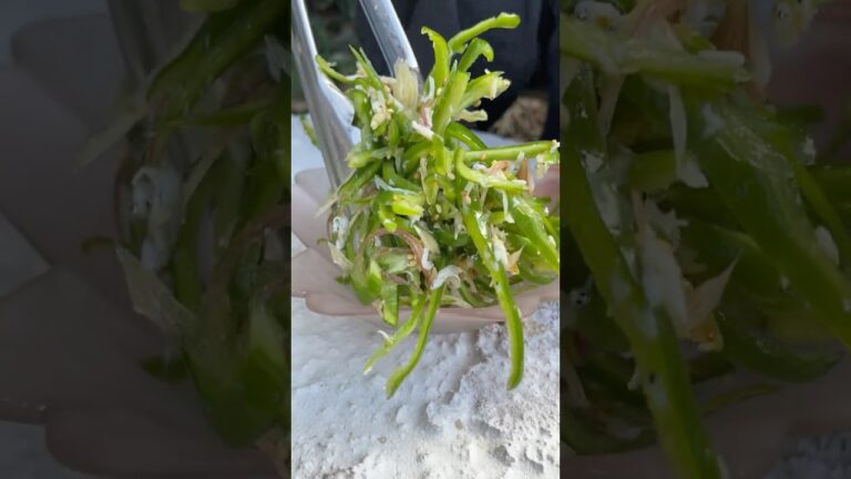 炒めない！和えるだけパリパリのピーマンレシピ紹介します！