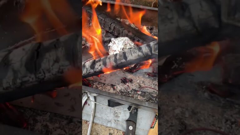 【簡単キャンプ飯】丸ごと玉ねぎのホイル焼き。こんなに美味し玉ねぎ食べたことない！　#shrots #food #cooking