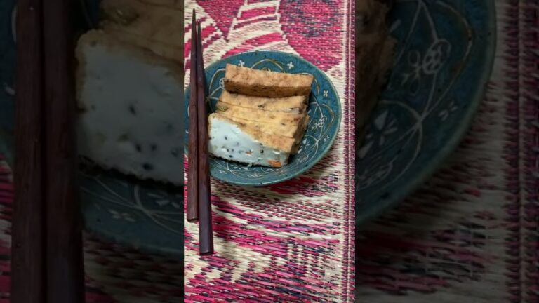 人生初の五目厚揚げ。頂いたら美味しかったよ。