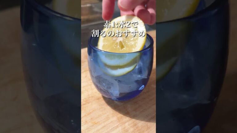 これガチで夏バテに効くのでおすすめです【お酢レモネード】