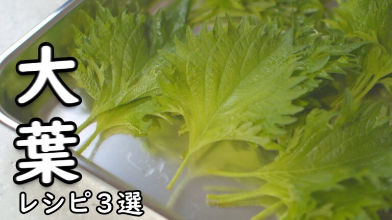 大葉 レシピ 3選 パッと簡単 ご飯が進む 美味しい3品