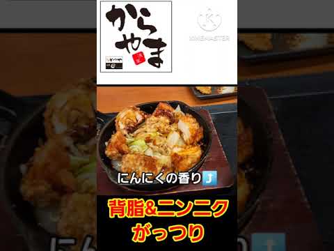 からやま　鉄板にんにくからあげ定食