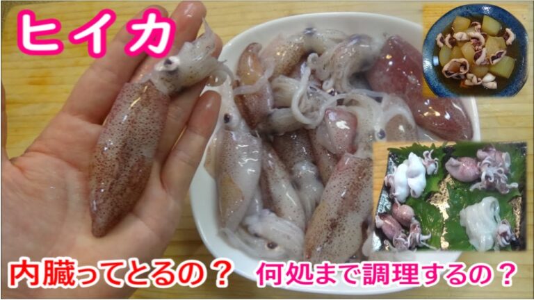 ヒイカってお腹出すの？質問に応えるために実証してみました。3パターンの下処理をボイルして一番美味しい調理段階を決定！　＃ヒイカ　＃ヒイカの煮付け　＃ジンドウイカ