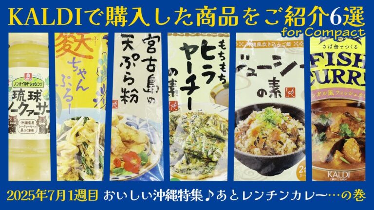 【KALDI】今回はカルディで購入した6の商品をご紹介していきます 2025年7月1週目 【お買い物】