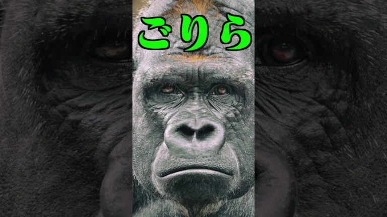 りんごって突然言えば、ごりらって返す説 -カラフルピーチ- #Shorts