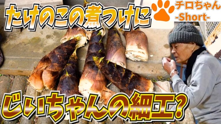 ばあちゃん流 たけのこの煮つけとじいちゃんの細工と。４K＃shorts