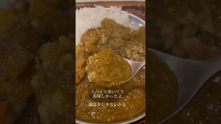 #大阪府#大阪市#住吉区#甘辛茶寮まほろば#カレーランチ#かき氷#駒川商店街#食べ歩きもできる場所#日本一の商店街#yummy #飯テロ #food #delish #グルメ #japanfood