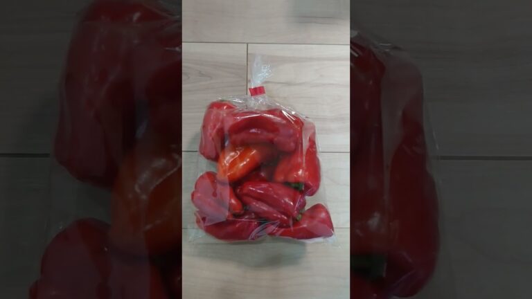 赤トマト🍅#ピーマン社長