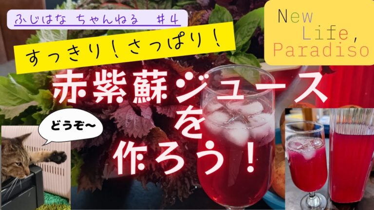 New Life,Paradiso#4 すっきり！さわやか！赤紫蘇ジュースを作ろう!!