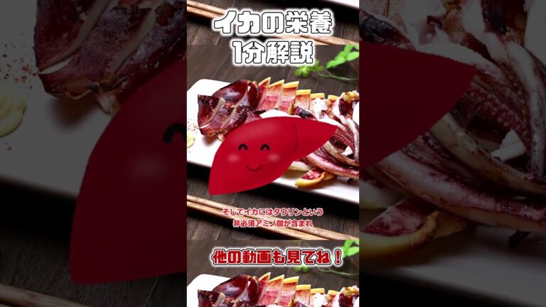 【ゆっくり解説】イカの栄養を1分で解説 #shorts