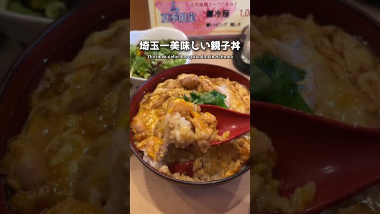 【絶品】埼玉一美味しい!?親子丼が最高だった【南浦和】