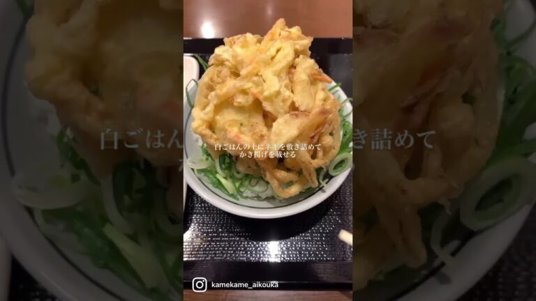【丸亀製麺】かき揚げにこのタレかけたら最強