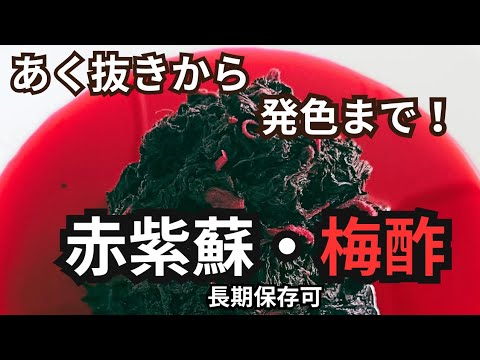 【赤紫蘇】のアク抜き&発色迄の仕上げ🌿.∘1年間保存もできます！