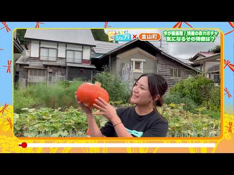 【ふるさとシェア】金山町　今が出荷の最盛期！特産「赤カボチャ」の美味しい食べ方教えます！（2023/9/6）