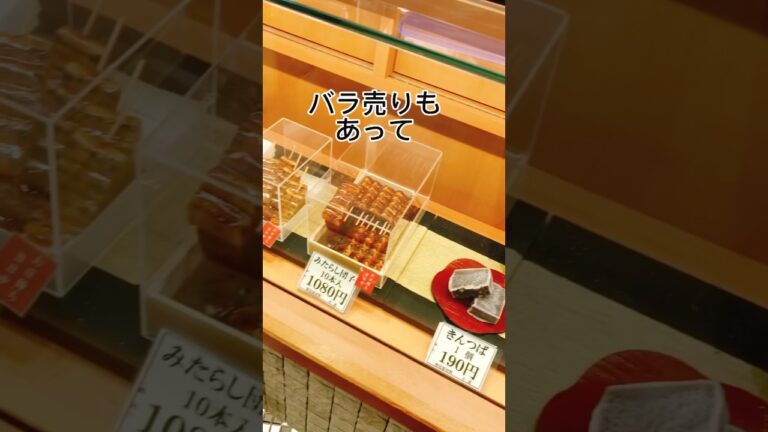 新大阪駅のリーズナブルなみたらし団子#shorts#お土産
