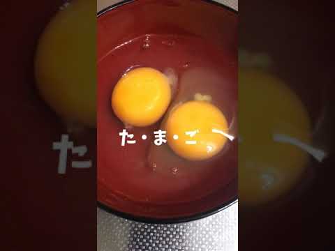 金のハンバーグ弁当#shorts